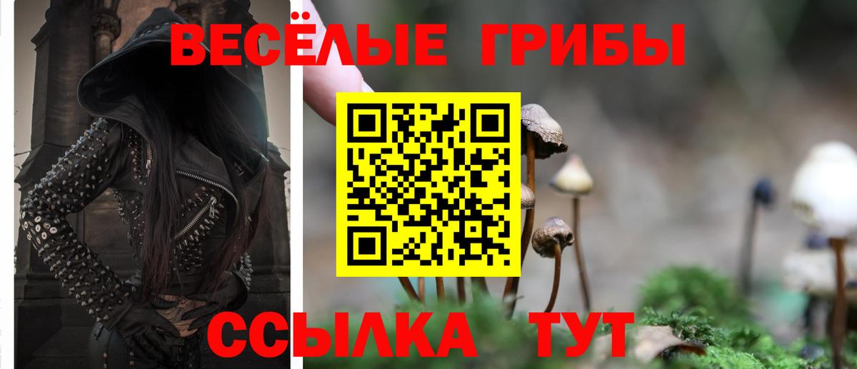 Псилоцибиновые грибы прущие грибы Еманжелинск